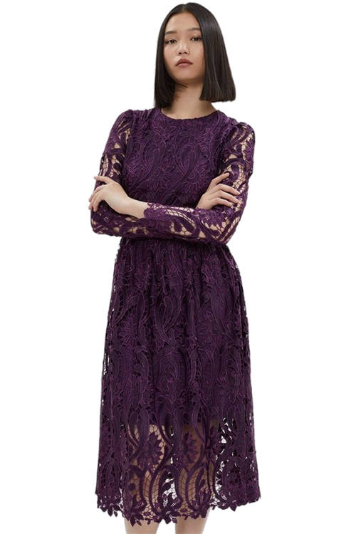 Jacques Vert Aubergine Long Sleeve Premium Lace Midi Dress BCC04174