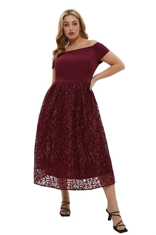 Jacques Vert Aubergine Plus Size Embroidered Midi Dress ACC95299