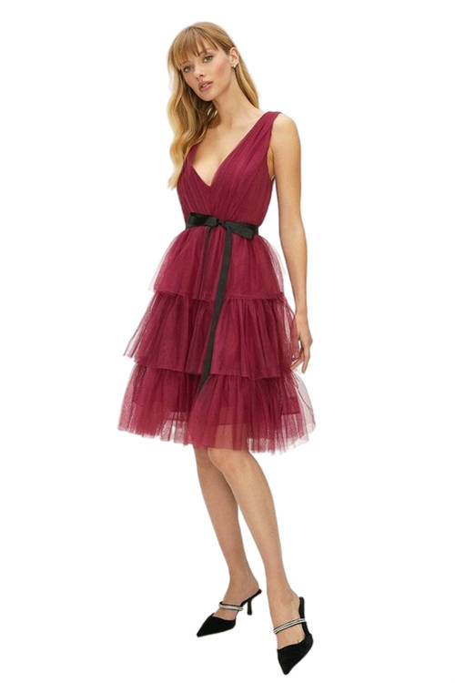 Jacques Vert Berry Mesh Tiered Mini Dress ACC02173