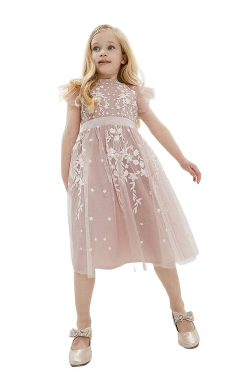 Jacques Vert Blush Girls All Over Embroidered Frill Sleeve Dress BCC00891