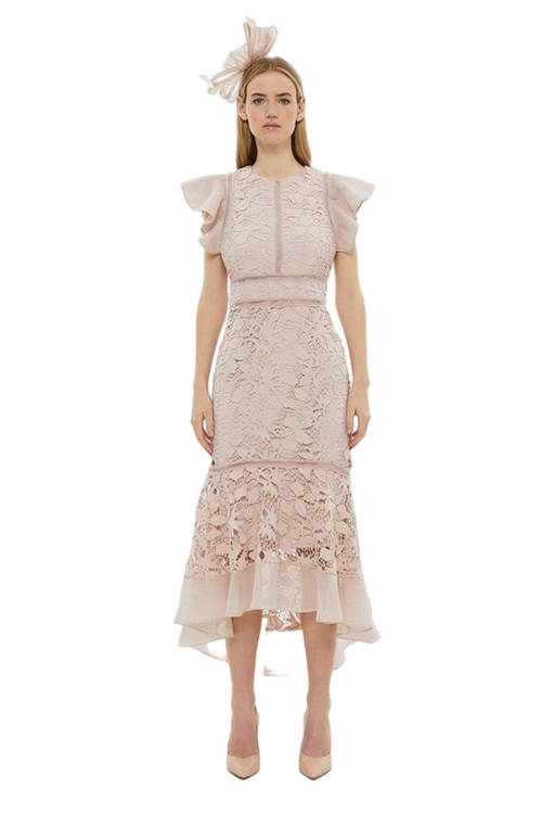 Jacques Vert Blush Organza Hem And Sleeve Lace Dress BCC00897