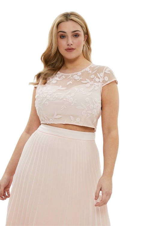 Jacques Vert Blush Plus Size Embroidered Cap Sleeve Top BCC00650