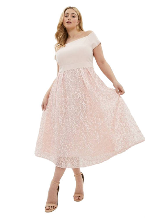 Jacques Vert Blush Plus Size Embroidered Midi Dress ACC95299