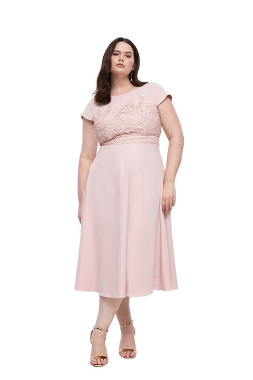 Jacques Vert Blush Plus Size Lace Dress With Circular Skirt BCC03296