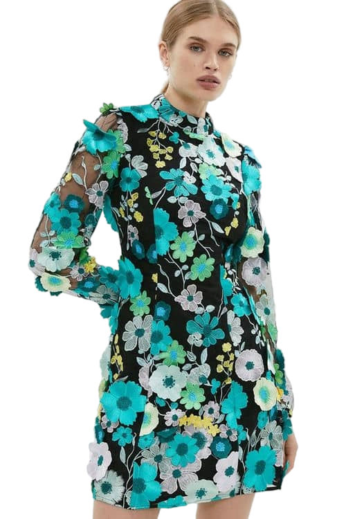 Jacques Vert Multi 3d Floral Mesh Long Sleeve Mini Dress BCC04278