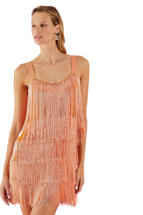 Jacques Vert Orange Premium Embellished Fringe Mini Dress ACC02793