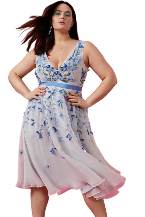 Jacques Vert Pale Blue Plus Size Plunge Organza 3d Floral Full Skirt Midi Dress BCC05091