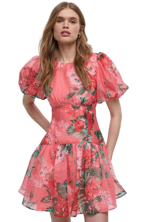 Jacques Vert Pink Pink Floral Drop Waist Organza Mini Dress BCC04851