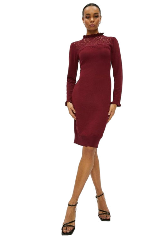 Jacques Vert Wine Lace Insert Jumper Dress ACC02703